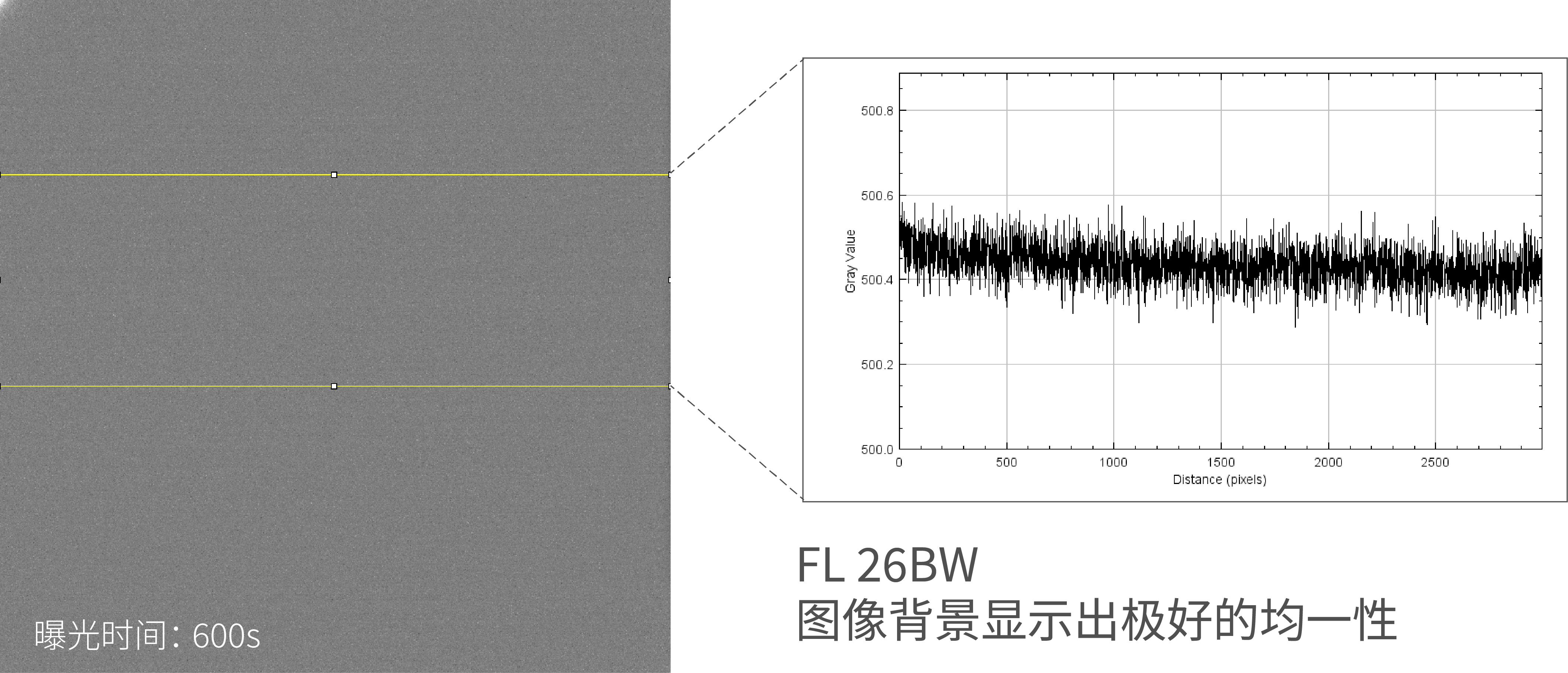 FL 26BW长曝光制冷 CMOS 相机
